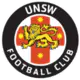 University of NSW Lions